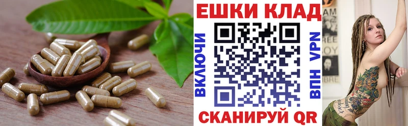 Купить  Калтан  ЭКСТАЗИ 250 мг 