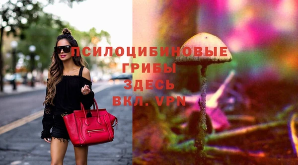 соль курить ск Богородск