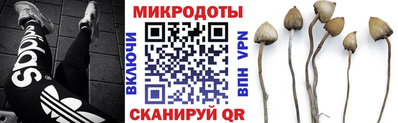 Купить  Калтан  Псилоцибиновые грибы мухоморы 