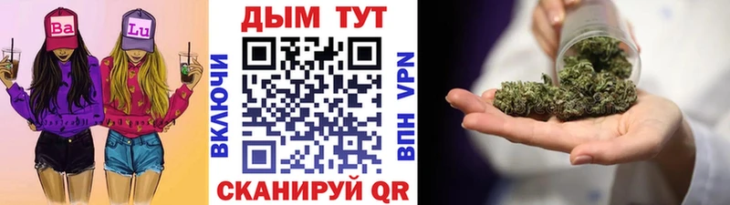 Купить где  Калтан  Канабис Amnesia 